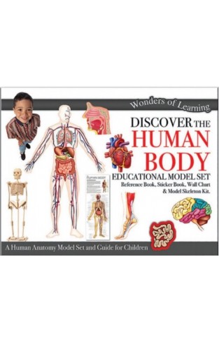 HL - Wonders of Learning Model Set - The Human Body - (BOX)